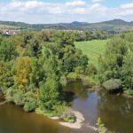 Jedinečný lužní les na břehu Labe se stal přírodní rezervací