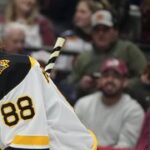Pastrňák skóroval, Rittich při premiéře střídal