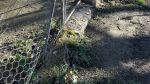 Radim a Monika si koupili pozemek bez přístupové cesty