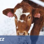 Zemědělské dotace stoupnou