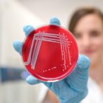 Nejen antibiotika, rezistenci způsobuje i zinek