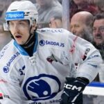 Další návrat odchovance? Do Komety míří zkušený bek