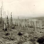 Rozhovor o historii environmentálního hnutí u nás s historikem Matějem Spurným