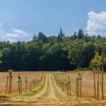 V Plzeňském kraji funguje unikátní projekt Zdravá krajina