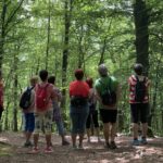 Mezinárodní den lesů si letos připomínají i terapeuti a psychologové
