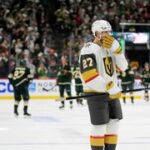 Hertl prohrává v play off
