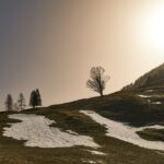 Letošní březen byl nejteplejší v Evropě, druhý na světě, uvedl Copernicus