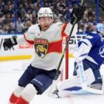 NHL ONLINE: Wild vedou nad Vegas, Hertl snížil