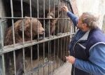 Památkáři chtějí ukončit chov medvědů na svých objektech