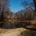 V Ostravě-Hrabové vzniká relaxační prostor s tůněmi a mokřady