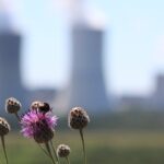 Experti: Německo může dosáhnout klimatických cílů, i kvůli slabému hospodářství