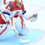 MS v hokeji ONLINE: Proti Německu bude chytat Vladař