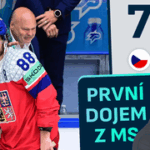 Nečasova brusle, Pasta venčil psa i zásah videa