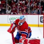 NHL ONLINE: Dobeš odvrací konec sezony, Faksa a Blues s Jets o mečbol
