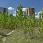 Vědci studují opomíjenou zeleň ve městech a její potenciál pro adaptaci na klimatické změny