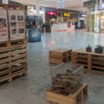 Cirkulární centrum v Hradci Králové spustilo kampaň „Zachraňme dřevo“