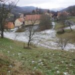 Luční sady patří k nejbohatším biotopům střední Evropy