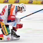 Radila pod konci v Pardubicích oťukává jiný extraligový klub, to samé u Houdka