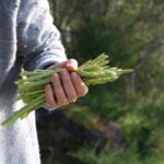 Sněmovna schválila uzákonění rodinných zemědělských hospodářství