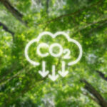 Ekologické organizace vítají nový klimatický cíl EU