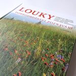 Kolektiv autorů: Bílí zubři, černé ovce?