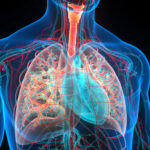 Nanoplasty mohou narušovat přirozenou ochrannou vrstvu plic, zjistil výzkum Akademie věd