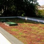 Praha letos a příští rok na dotacích v programu Čistá energie rozdělí 50 milionů