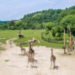 Audit v Zoo Praha ukázal na přetížení zaměstnanců i nízké mzdy