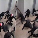 Další průšvih slávistických »fanoušků«: Brutální napadení v pětinásobné přesile!