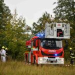 Hasiči budou s ochránci přírody spolupracovat při likvidaci hnízd invazní sršně asijské