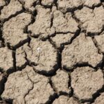 Matěj Pomahač: Po suchém máji červnové kapky cenu zlata mají (o klimatické odolnosti)