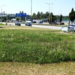 Mozaikové seče trávníků v Českých Budějovicích opět podpoří biodiverzitu