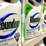 Nejvyšší soud USA se postavil na stranu výrobce herbicidu Roundup