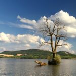 Povodí Moravy zavedlo po loňském úhynu ryb na Nových Mlýnech sadu opatření