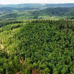 Čeští odborníci se zapojí do evropského projektu klimaticky odolného lesnictví