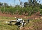 Dron místo auta pomáhá chmelařům ušetřit čas i peníze