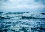 ‚Mořský sníh‘ z odumřelých buněk krmí život v hlubinách oceánu