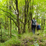 Nový česko-saský projekt vrátí krajině život na více než 150 hektarech
