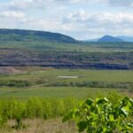 Savana v energetickém srdci republiky