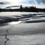 Šumava, nebo Polabí? Vědci pomocí unikátní metody zjistili, kde se zimní srážky v půdě zdrží déle