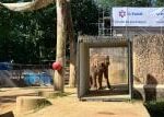 Liberecká zoo slaví 122. výročí založení