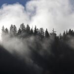 Národní park Velká Fatra na Slovensku zasáhl požár, les dříve hořel i jinde