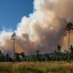 Senátní výbor žádá vládu o zřízení pracovní skupiny k velkoplošným požárům