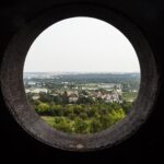 V trojské botanické zahradě vykvetla vzácná rostlina Osa pulchra