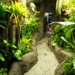 V Zoo Ostrava otevřeli nový pavilon pro obojživelníky, nabídne téměř 40 druhů