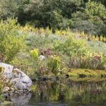 Brněnská botanická zahrada a arboretum má nový digitální systém hospodaření s vodou