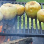 Pomologické dny v Průhonicích nabídnou výstavu starých odrůd ovoce, pečení jablek i exkurze do sadu