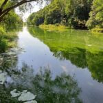 Pracovní skupina zabývající se kvalitou vody v Dyji obnovila svoji činnost
