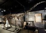 Vědci našli ve Španělsku kosti býložravých dinosaurů