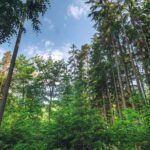 Mendelova univerzita bude více řídit turistický ruch v lesích Moravského krasu